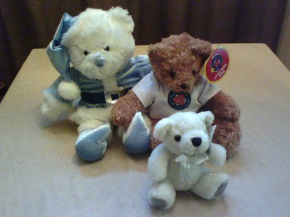 bears from Boston, MA, kayre, and a sample of the Canadian bears from conf